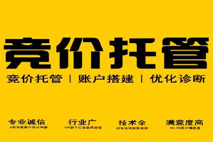 谷歌SEM案例研究：关键词优化策略解析